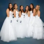 d529f3_0b9418a5ca7b41c296a2368943106c31~mv2